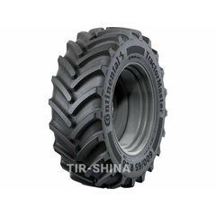 Continental TractorMaster (с/х) 650/65 R38 160A8