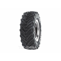 Ascenso TDR 650 (с/х) 540/65 R24 146D